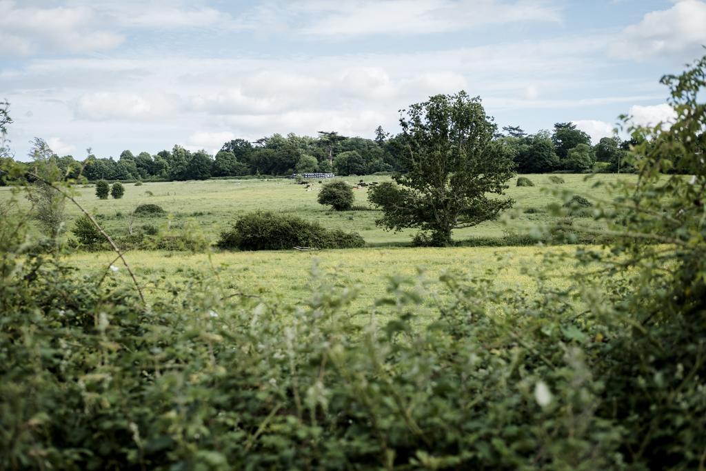 Hinds Head Otel Aldermaston Dış mekan fotoğraf